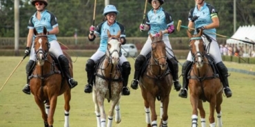 WhatsApp Image 2026-02-17 at 16.40.12