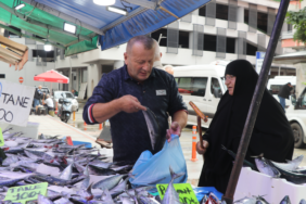 Rize Balıkçı Tezgahlarında Bollaşan Palamut 50 Liradan Satışa Sunuldu