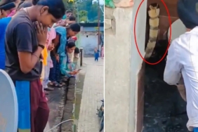 Hindistan'da Bir Evin Klozetinde Görülen Dev Kobra Mahallede Korku Yarattı