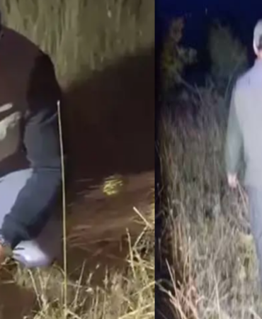 Ankara'da kaçak avcılık operasyonu: Ekipleri izlemek için kurulan kamera sistemleri ele geçirildi